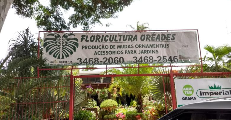 Floricultura Oréades, Produção de Mudas Ornamentais, Acessórios para Jardins, 61 3468-2060, Polo Verde, Viveiro de Plantas, Lago Norte, Saída Norte, Comércio Brasília