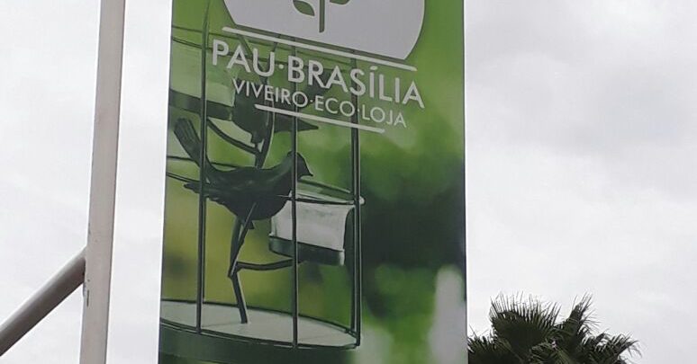 Viveiro Pau Brasil Polo Verde Viveiro de Plantas Lago Norte Saída Norte Comércio Brasília 4