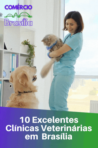 10 Excelentes Clinicas Veterinárias em Brasília