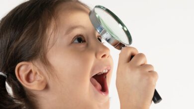 Park Way: O Bairro Parque de Brasília