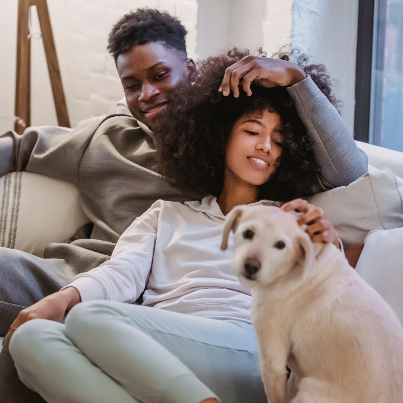 Guia de Laboratórios: Imagem, Genética e Veterinários (Parte 3)