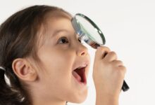 Guia Completo das Quadras 400 na Asa Sul em Brasília