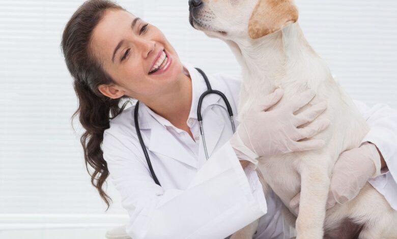 10 Melhores Hospitais e Clinicas Veterinárias em Unaí MG