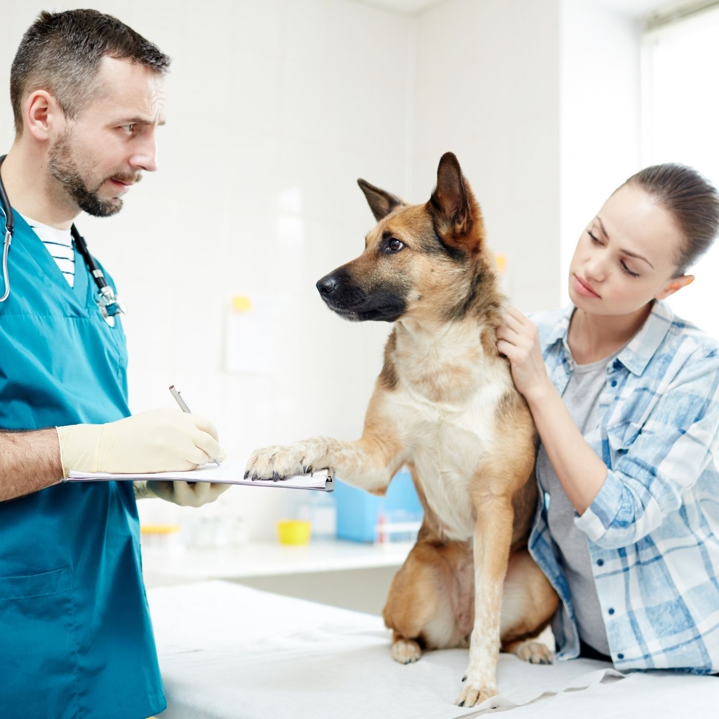 10 Melhores Hospitais e Clinicas Veterinárias em Águas Lindas de Goiás GO