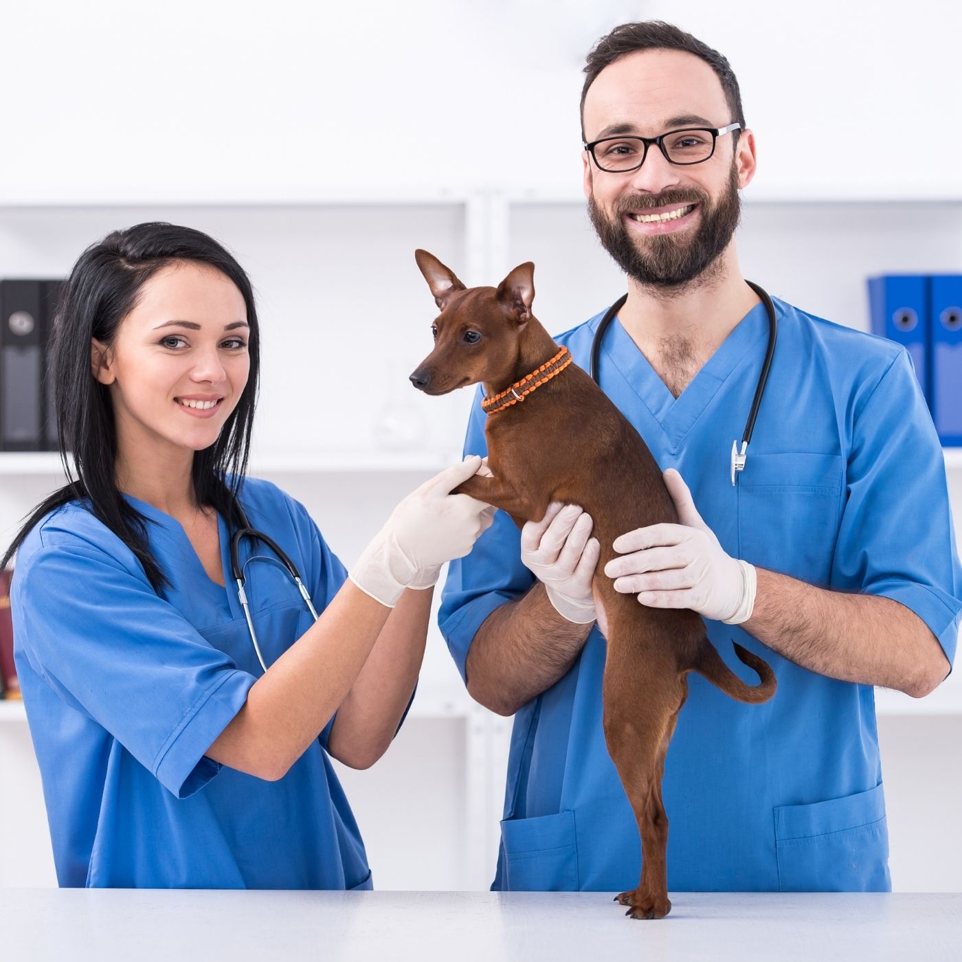 10 Melhores Hospitais e Clinicas Veterinárias em Planaltina de Goiás GO