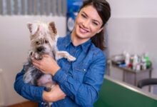 10 Melhores Hospitais e Clínicas Veterinárias em Abadiânia GO