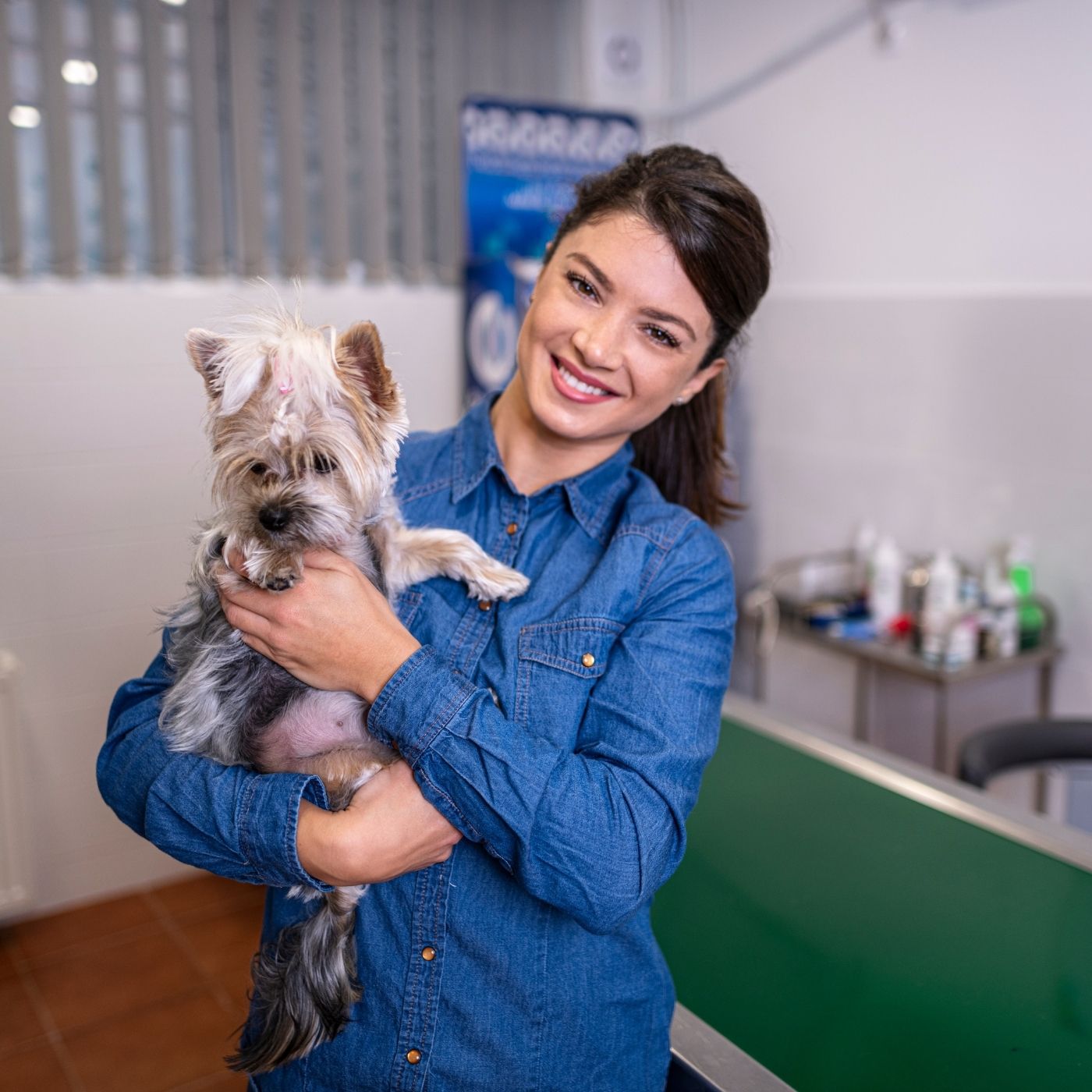 10 Melhores Hospitais e Clínicas Veterinárias em Abadiânia GO