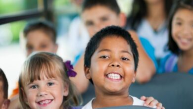 Conheça 46 empresas de Transporte Escolar em Planaltina DF